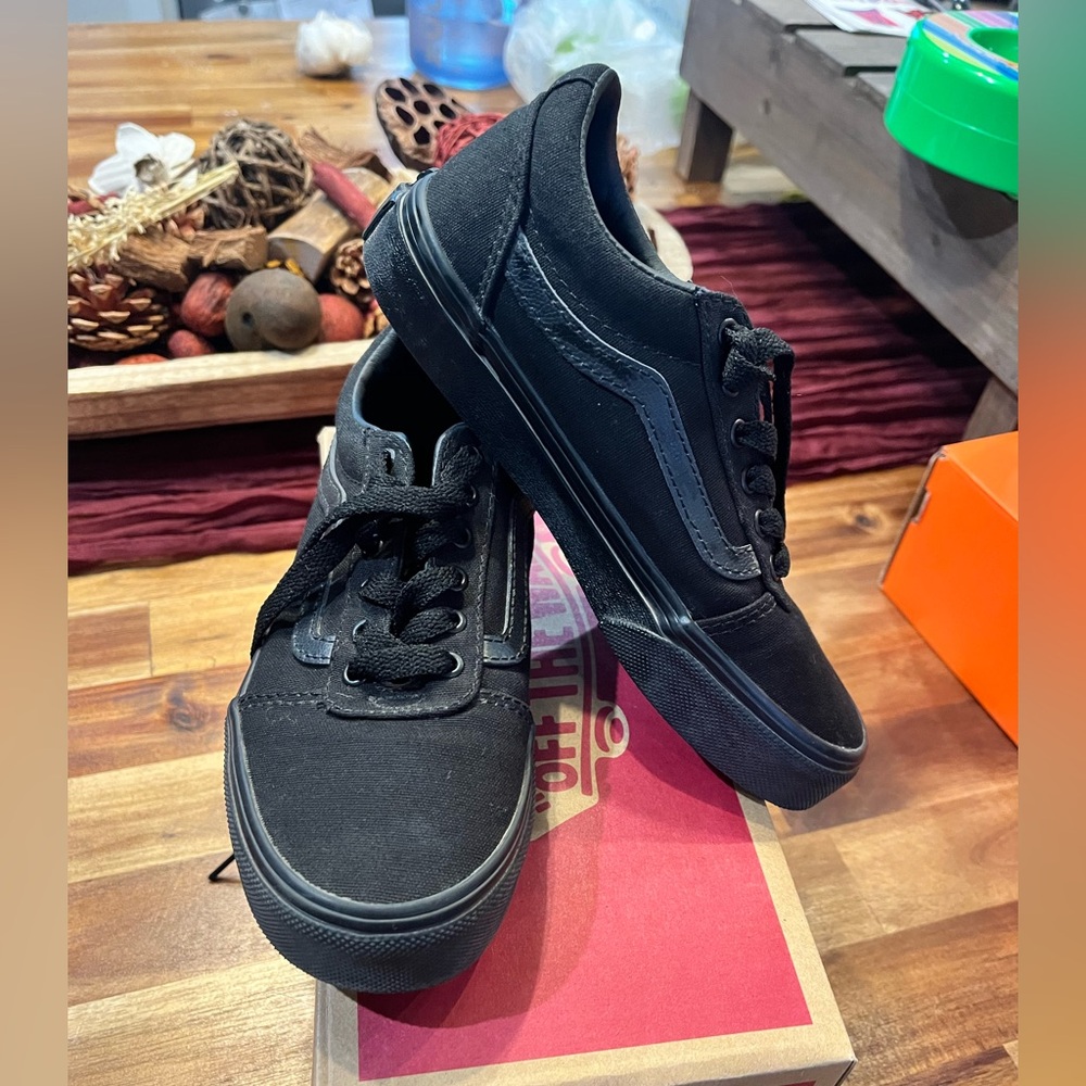 Vans Black Skate Sneakers with Canvas Upper
